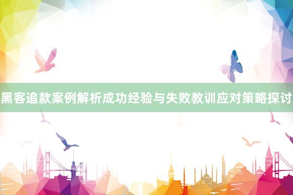 黑客追款案例解析成功经验与失败教训应对策略探讨